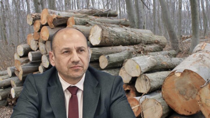 Мащабна сеч в община Ловеч променя екологичното равновесие в района