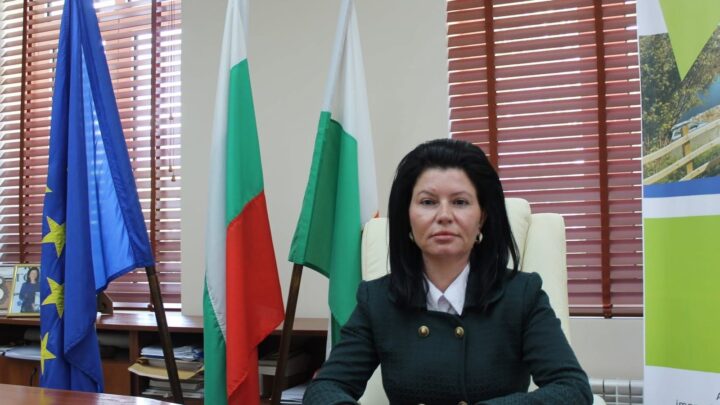 Маринела Николова: Продължаваме поетапното обновяване на уличната инфраструктура в Козлодуй (ВИДЕО)