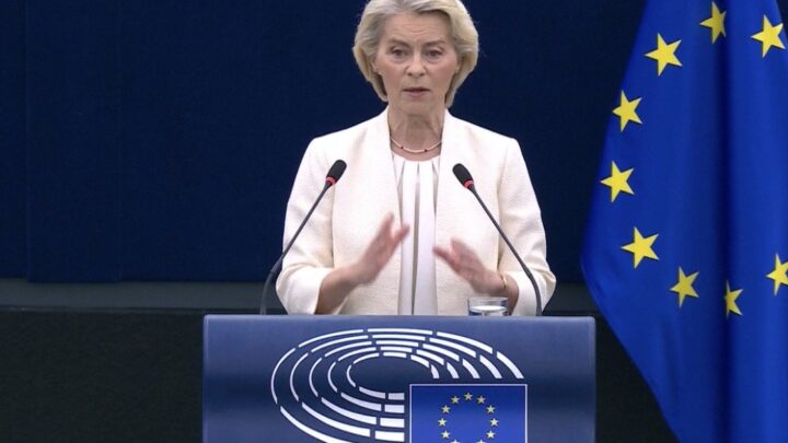 Урсула фон дер Лайен пред Европейския парламент: „Ако трябва да забавим ИИ, нека го направим“