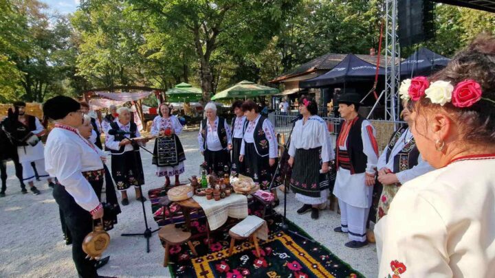 Традициите оживяха в Козлодуй: пенсионерски клубове показаха обичаи, занаяти и носии