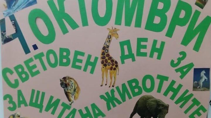 Световен ден на животните 2026: събития в София на 4 октомври